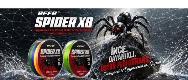 Spider
