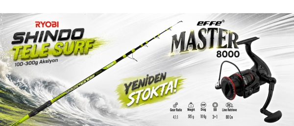 MasterVS